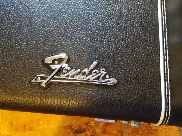 Fender Pro Case